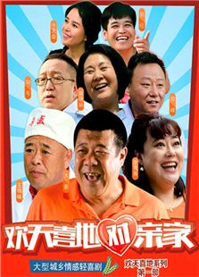 欢天喜地对亲家免费观看