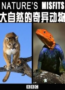 BBC：大自然的奇异动物