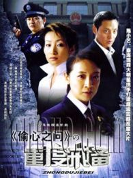 重度戒备电视剧全集