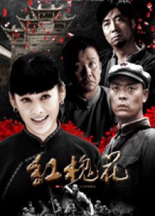 红槐花 高清版