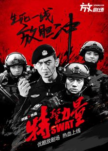 特警力量 D