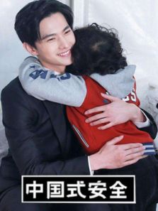 中国式安全电视剧全集