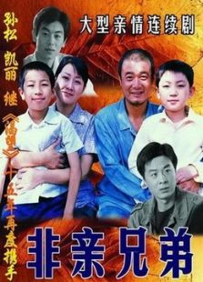 非亲兄弟免费观看