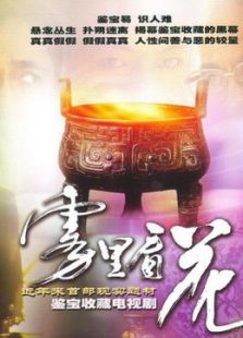 雾里看花免费观看