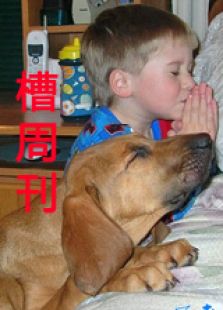 槽周刊