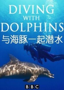 BBC：与海豚一起潜水
