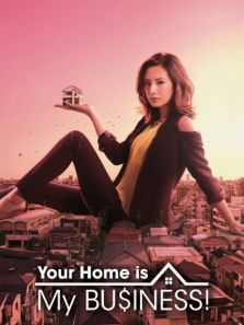 卖房子的女人DVD