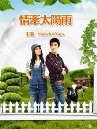 圆梦山庄之情牵太阳雨电视剧全集