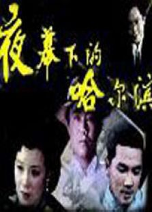 夜幕下的哈尔滨84版电视剧全集