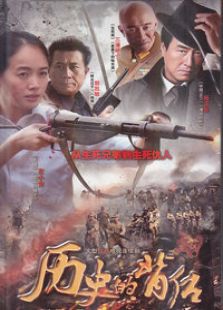 历史的背后电视剧全集