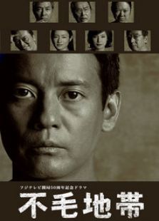 不毛地带电视剧全集