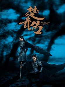 楚乔传精编版电视剧全集