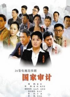 国家审计TV版电视剧全集
