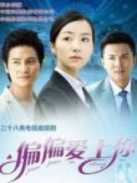 偏偏爱上你TV版电视剧全集