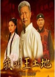 我叫王土地TV版电视剧全集