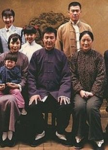 《党的女儿》电视剧_全集完整版高清在线观看,剧情