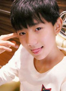 TF家族TFamily s Story免费观看