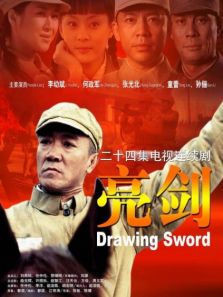 亮剑速看版电视剧全集