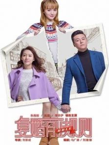 复婚前规则电视剧全集