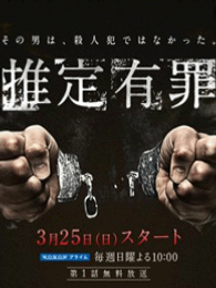 推定有罪电视剧全集