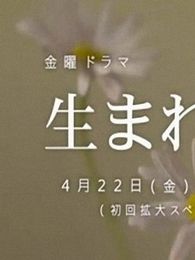 出生电视剧全集