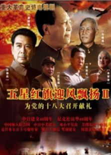 五星红旗迎风飘扬2[未删减版]