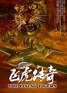 飞虎传奇免费观看