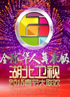 湖北卫视春晚历年合集