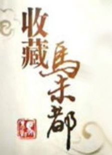 收藏马未都