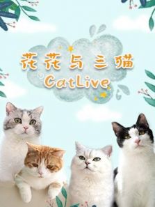 花花与三猫CatLive 2020