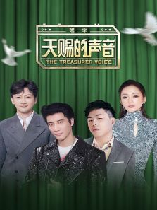 天赐的声音 第一季