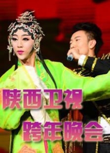 2014陕西卫视跨年（新年雁塔祈福活动 ）