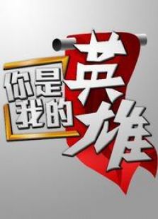 你是我的英雄