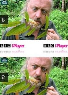 BBC：比尔·贝利的丛林英雄
