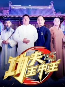 功夫王中王 第3季
